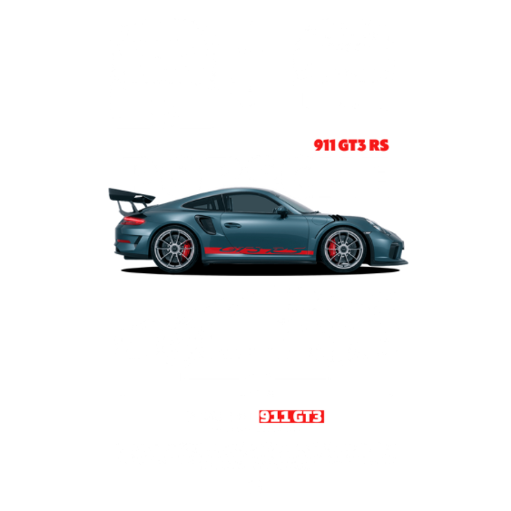 Porsche 911 GTR RS DTF Transfer