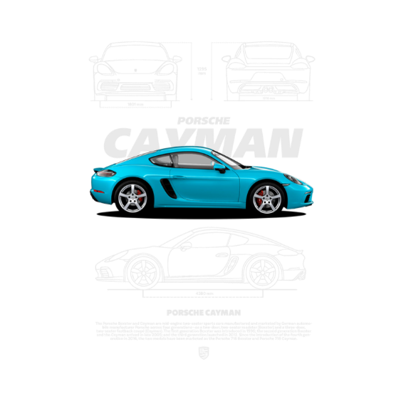 Porsche Cayman DTF Transfer