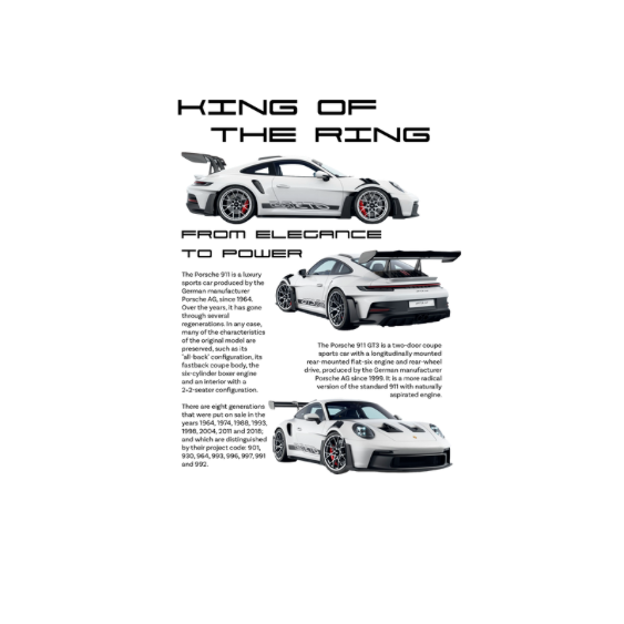The King Porsche 911 GTR RS DTF Transfer