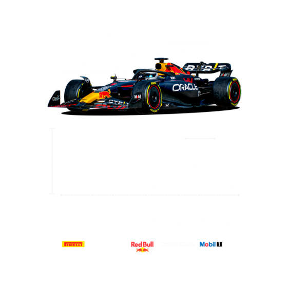 Formula 1 11PER Red Bull Racing RB20 DTF Transfer