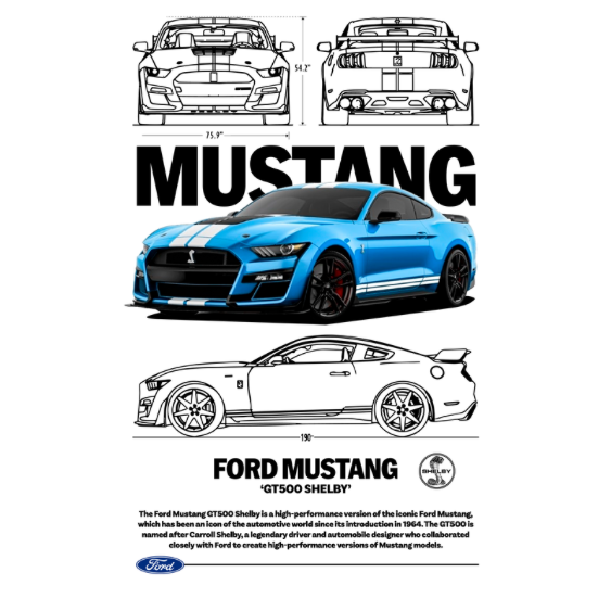 Ford Mustang GT500 DTF Transfer