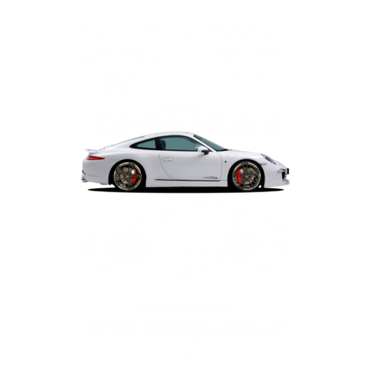 Porsche Carrera S DTF Transfer