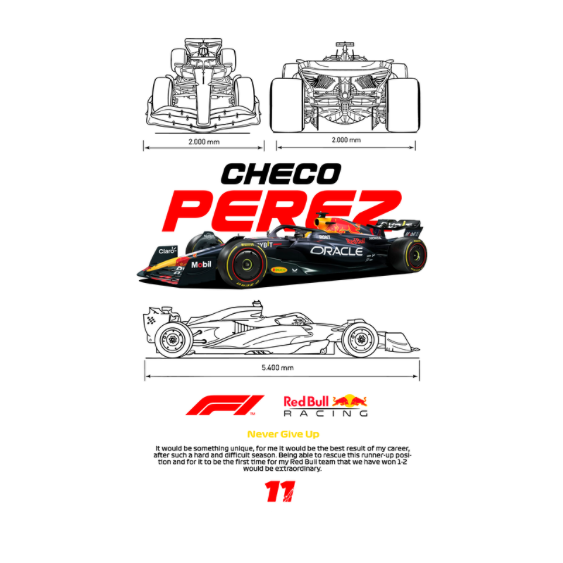 Checo Perez Formula 1 DTF Transfer