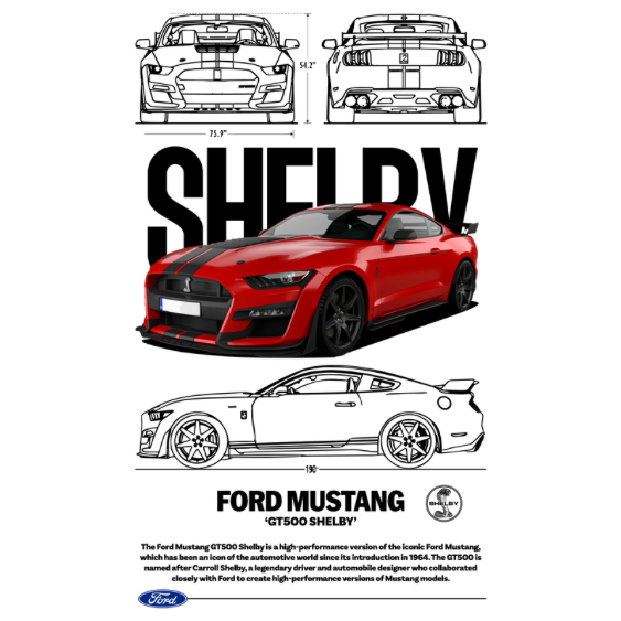 Ford Mustang GT500 DTF Transfer