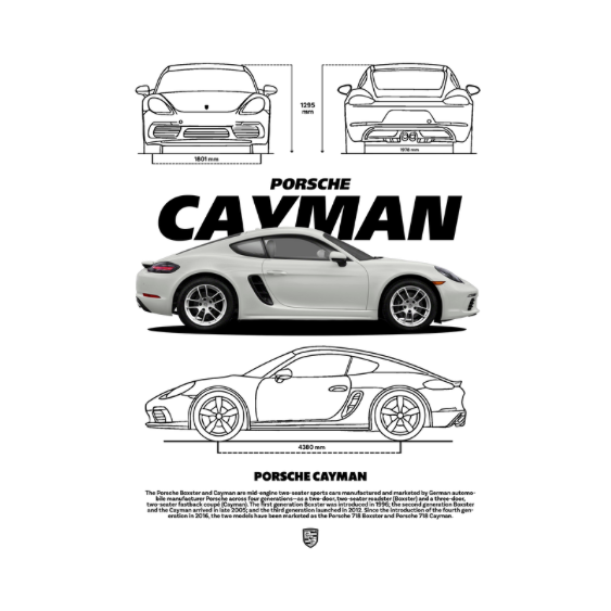 Porsche Cayman DTF Transfer