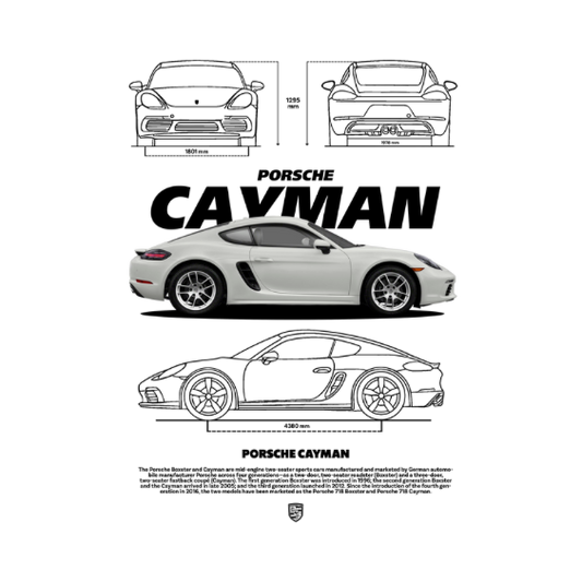 Porsche Cayman DTF Transfer
