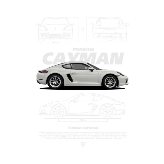 Porsche Cayman DTF Transfer