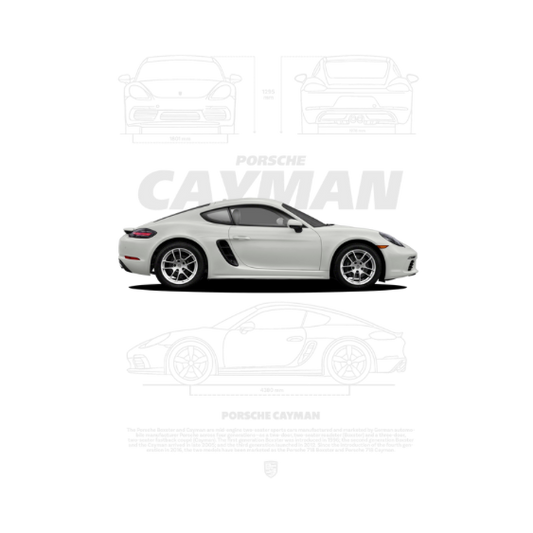 Porsche Cayman DTF Transfer