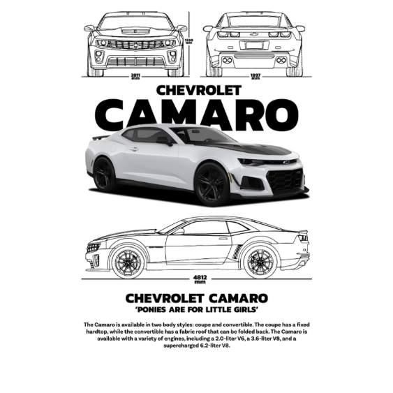 Chevrolet Camaro DTF Transfer