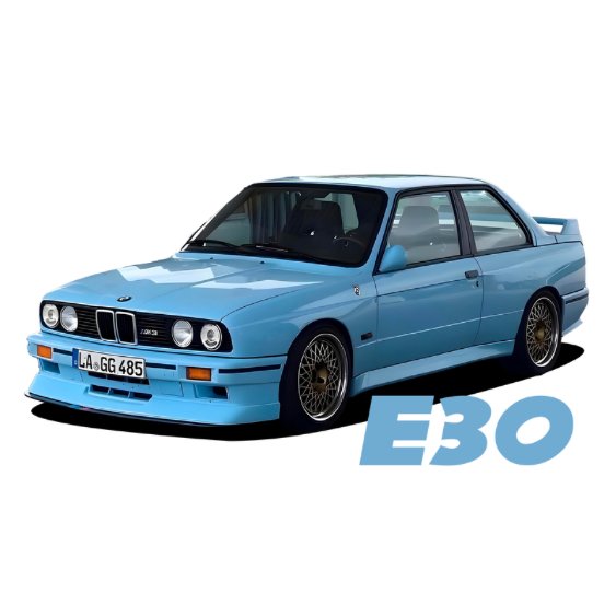 BMW M3 E30 DTF Transfer