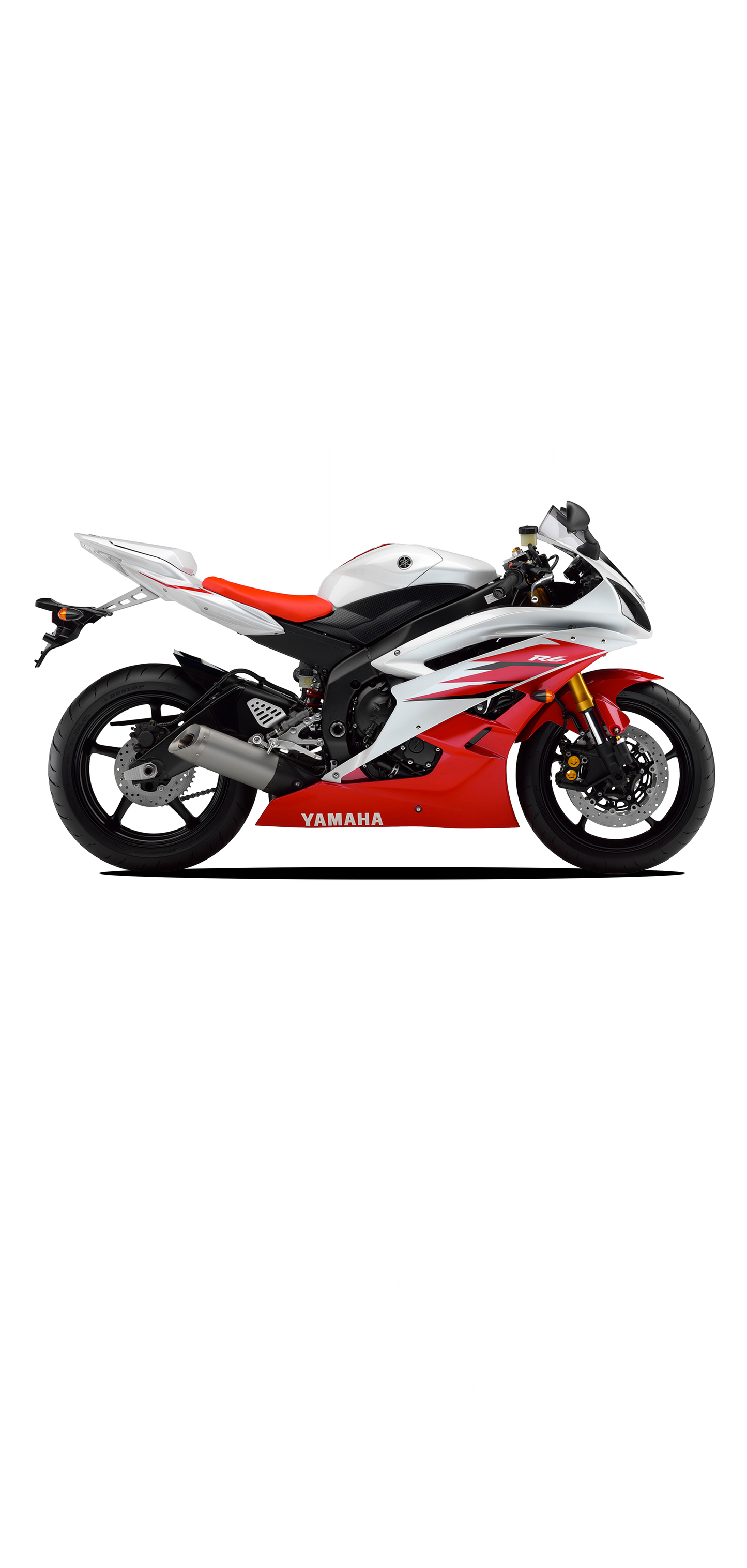 Yamaha YZF R6 DTF Transfer