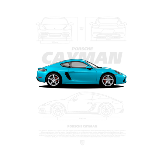 Porsche Cayman DTF Transfer