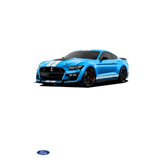 Ford Mustang GT500 DTF Transfer