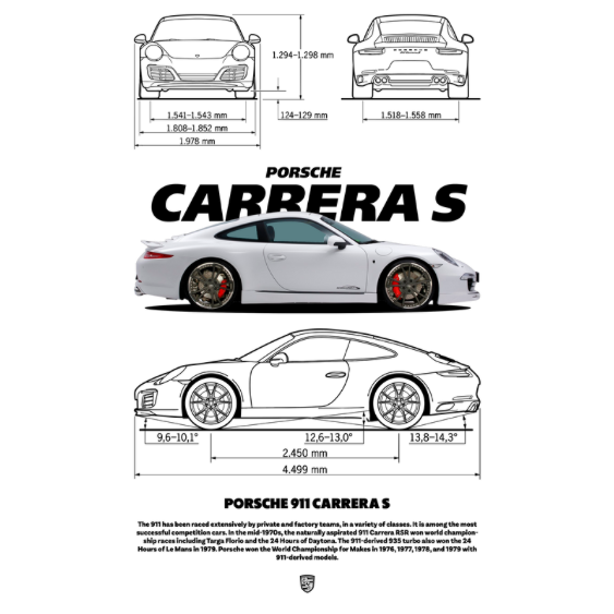 Porsche Carrera S DTF Transfer