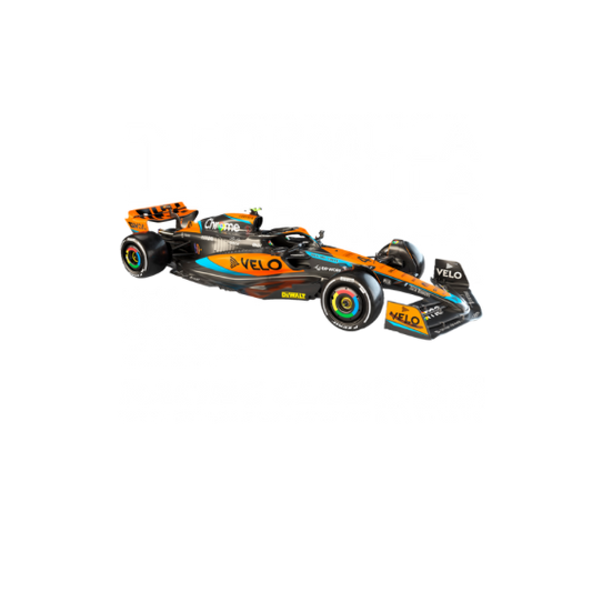 Lando Norris Formula 1 DTF Transfer
