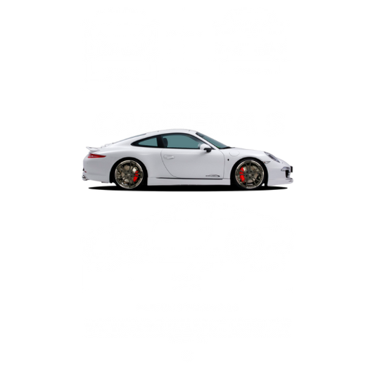 Porsche Carrera S DTF Transfer
