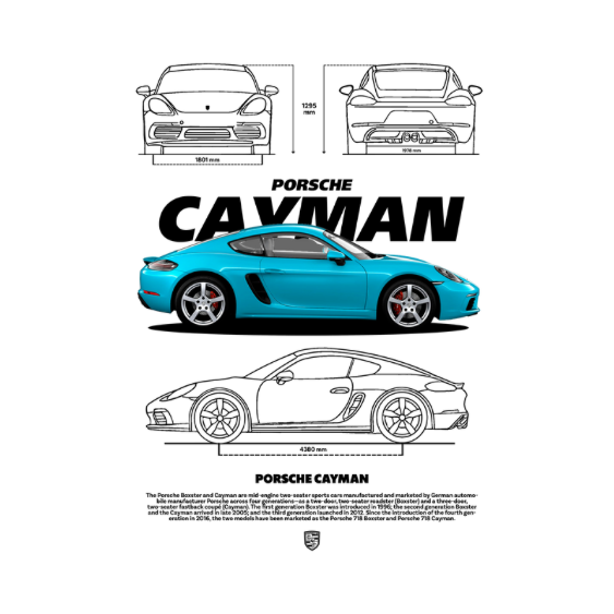 Porsche Cayman DTF Transfer